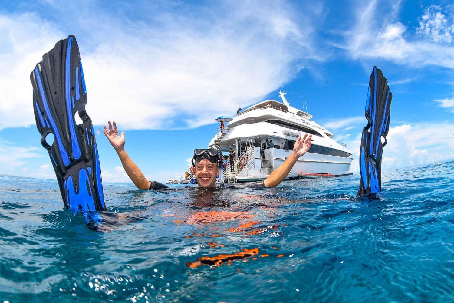 Cairns: Dagvullende tour naar het buitenste Groot Barrièrerif met lunch