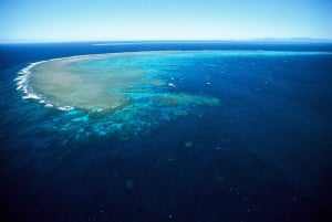 Cairns: Tour di un giorno della Grande Barriera Corallina esterna con pranzo
