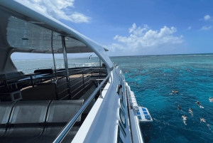 Cairns: Tour di un giorno della Grande Barriera Corallina esterna con pranzo
