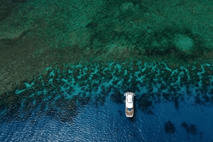 Cairns: Tour di un giorno della Grande Barriera Corallina esterna con pranzo