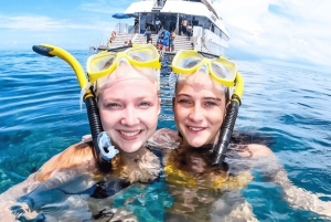 Cairns: Dagvullende tour naar het buitenste Groot Barrièrerif met lunch