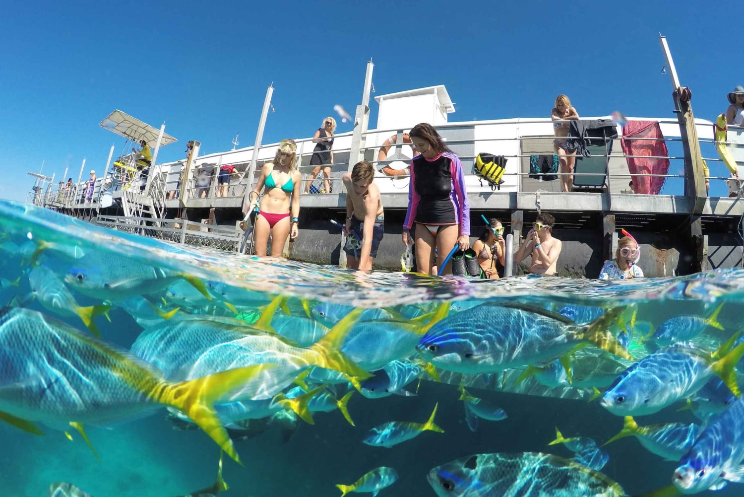 Cairns: Buitenste Groot Barrièrerif Ponton met Activiteiten