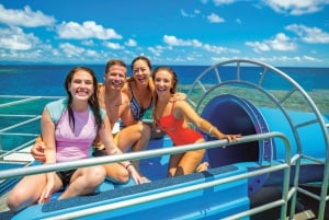 Cairns: Buitenste Groot Barrièrerif Ponton met Activiteiten