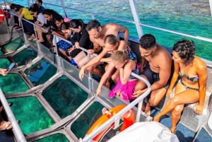 Cairns: Buitenste Groot Barrièrerif Ponton met Activiteiten