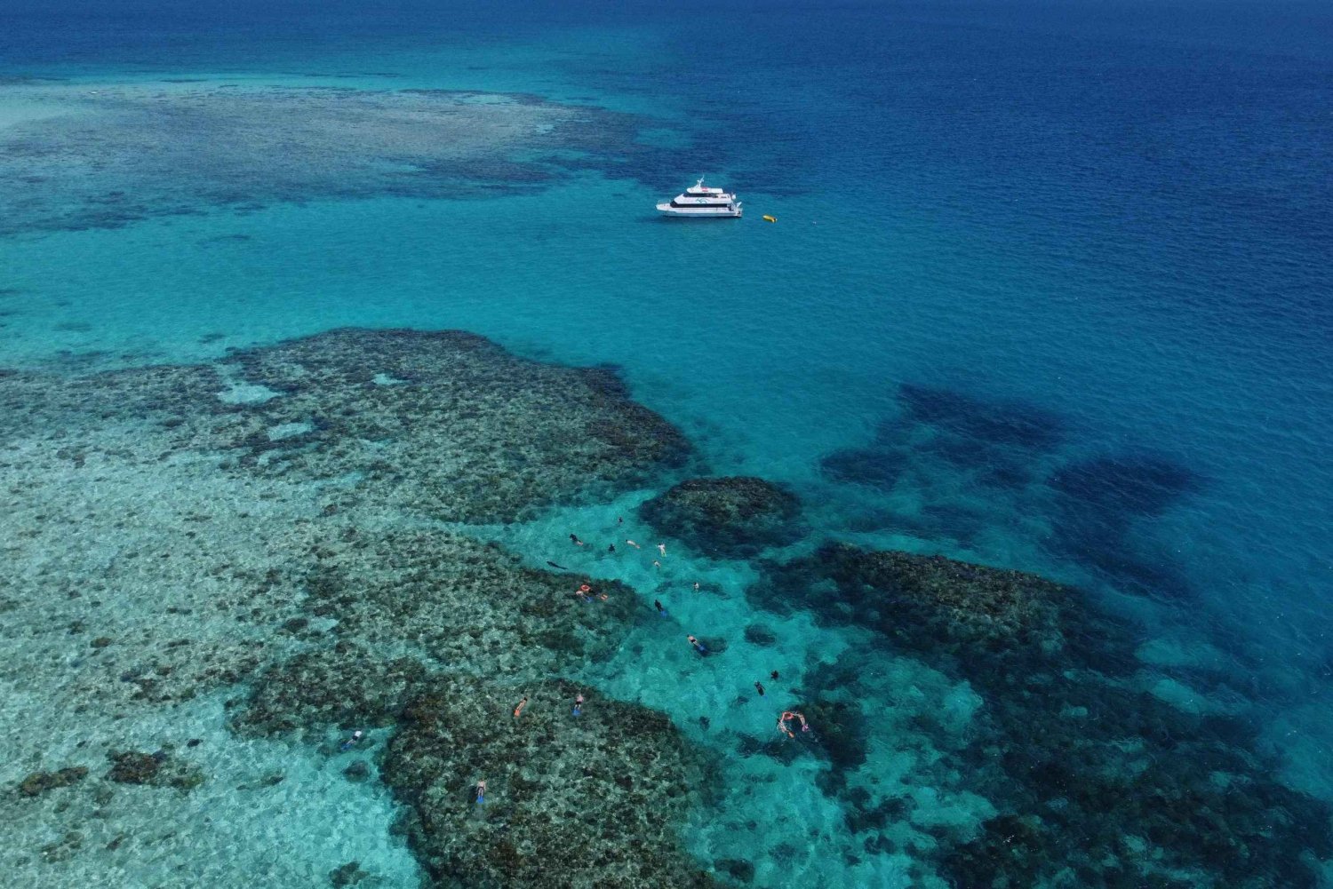 Cairns: Outer Reef Snorkel & Dunk Island Small Group Tour