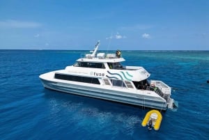 Cairns: Dagtrip Scubaduiken met privébegeleiding