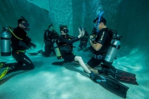 Cairns: Pro Dive 5-daagse duikcursus Groot Barrièrerif