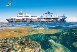 Cairns: Tour di mezza giornata di Reef Zoom in elicottero e snorkeling