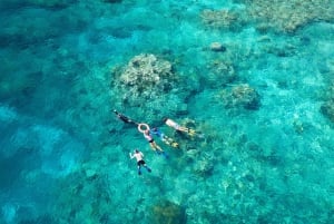 Cairns: gita di 1 giorno alla GBC con snorkeling e immersioni