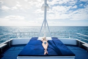 Cairns: gita di 1 giorno alla GBC con snorkeling e immersioni