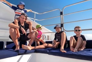 Cairns: gita di 1 giorno alla GBC con snorkeling e immersioni