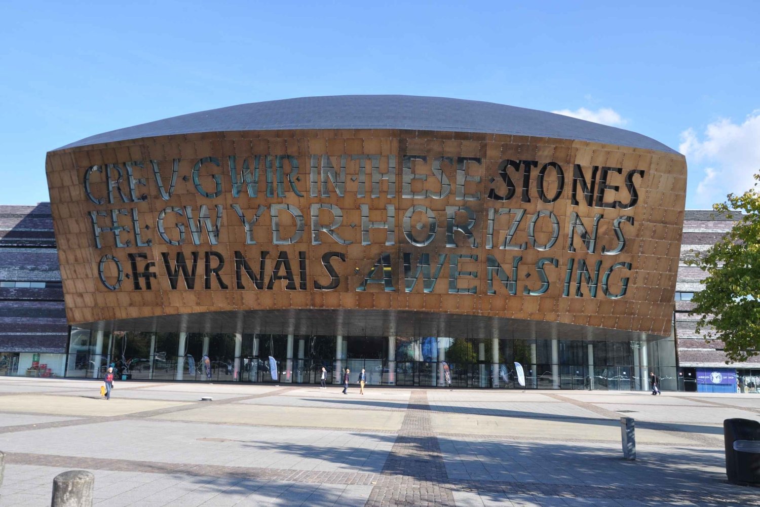 Dagstur til Cardiff fra London med lokal guide (Visit Wales)