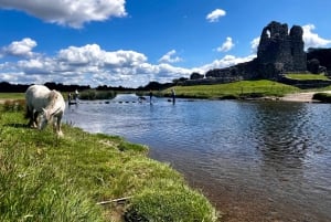 Cardiff Excursión de un día por los acantilados, playas y castillos del sur de Gales