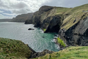 Carrick A Rede Ropebridge & Giant's Causeway Privétour