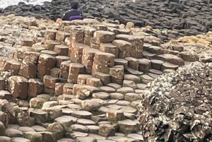 Carrick A Rede Ropebridge & Giant's Causeway Privétour