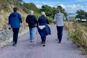 Castlehaven: Excursão a pé por nomes de lugares com piquenique artesanal