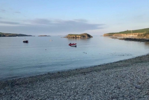 Castlehaven: Excursão a pé por nomes de lugares com piquenique artesanal