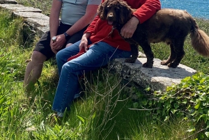 Castlehaven: Excursão a pé por nomes de lugares com piquenique artesanal