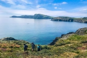 Castlehaven: Excursão a pé por nomes de lugares com piquenique artesanal