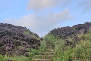 Belfast fra oven: Vandretur ved solopgang eller om eftermiddagen