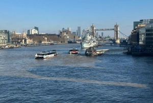 セントラルロンドン：オーダーメイドのウォーキングツアーをご利用ください