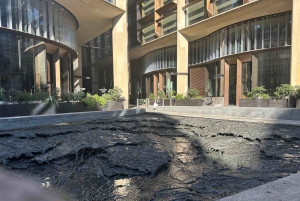 セントラルロンドン：オーダーメイドのウォーキングツアーをご利用ください