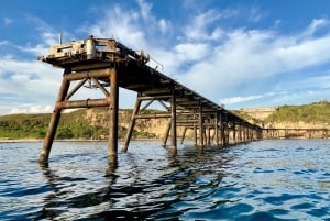 Tour avventuroso in barca di 2,5 ore da Newcastle