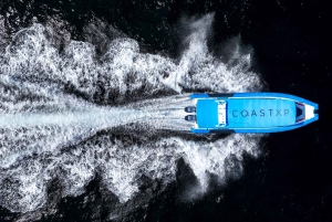 Tour avventuroso in barca di 2,5 ore da Newcastle