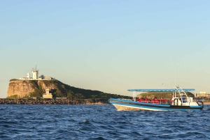 Tour avventuroso in barca di 2,5 ore da Newcastle