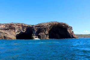 Tour avventuroso in barca di 2,5 ore da Newcastle