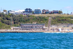 Tour avventuroso in barca di 2,5 ore da Newcastle