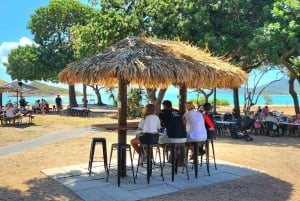 Airlie Beach: Coastal Dingo Beach-Explore & Relax