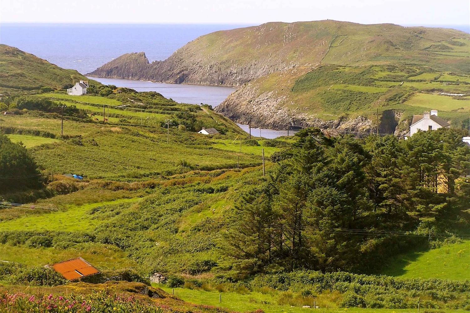 Kork Tur til Fastnet Rock Lighthouse og Cape Clear Island