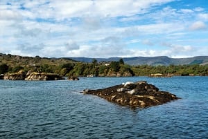 Cork: Fastnet Rock Lighthouse and Cape Clear Island Tour