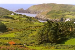 Cork: Fastnet Rock Lighthouse and Cape Clear Island Tour