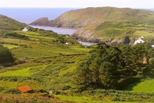 Kork Tur til Fastnet Rock Lighthouse og Cape Clear Island