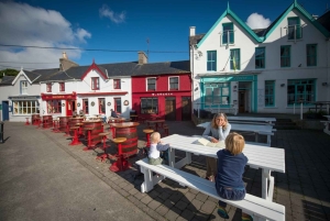 Kork Tur til Fastnet Rock Lighthouse og Cape Clear Island
