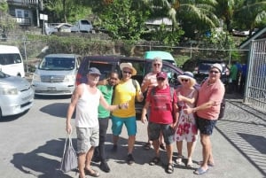 Dark View Falls-tur med London Taxi and Tours