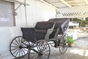 Dark View Falls-tur med London Taxi and Tours