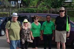 Dark View Falls-tur med London Taxi and Tours