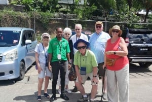 Dark View Falls-tur med London Taxi and Tours