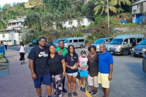 Dark View Falls-tur med London Taxi and Tours