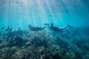 Daydream Island : Croisière d'aventure sur la Grande Barrière de Corail