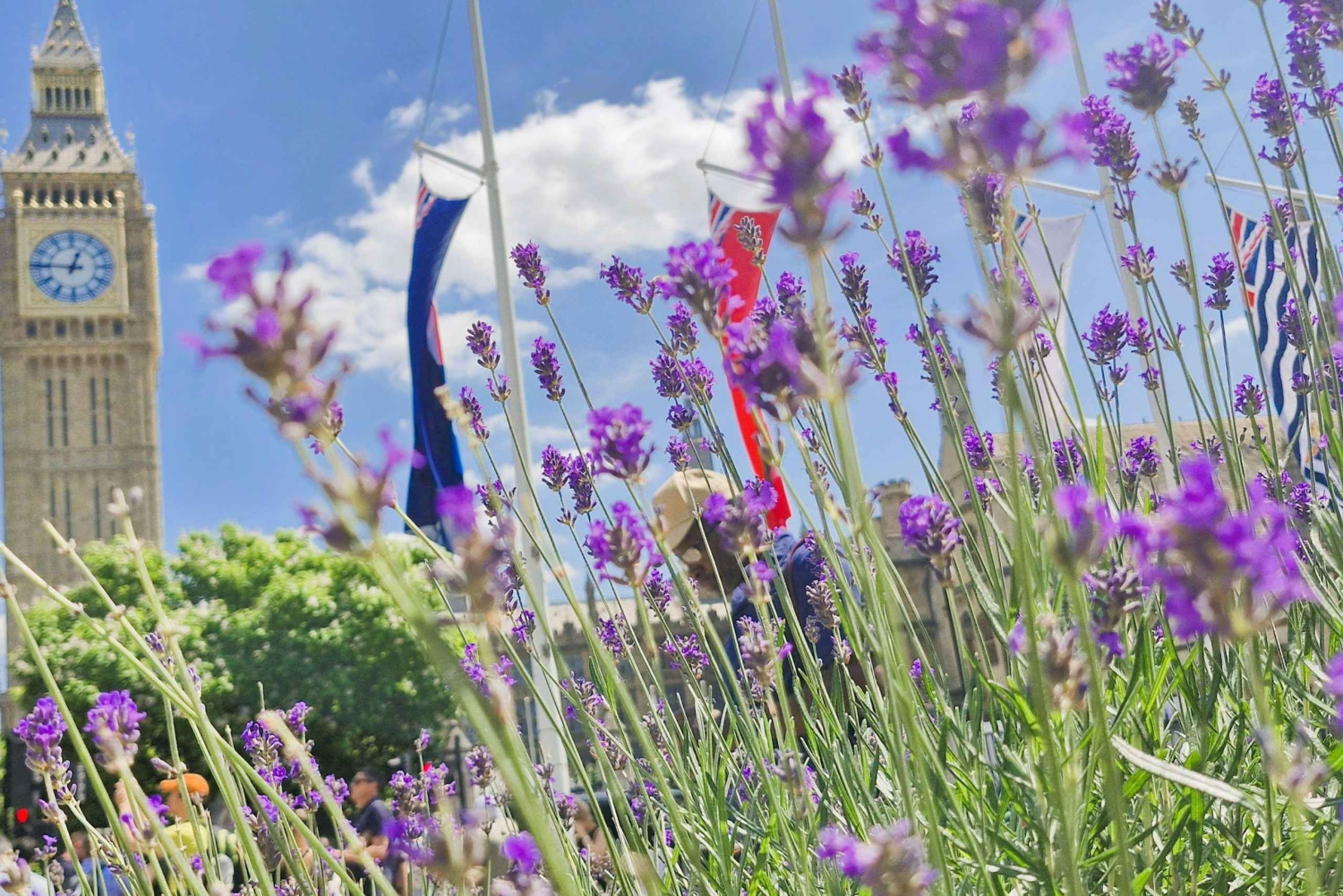 Odkryj Londyn: wycieczka prywatna z wykwalifikowanym przewodnikiem