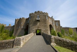 Castello di Dover, Scogliere Bianche, Cattedrale di Canterbury: Tour privato