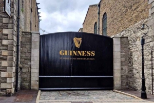 Dirija por Dublin em um dia - Da cidade de Dublin/Porto de Dún Laoghaire