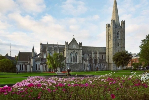 Dirija por Dublin em um dia - Da cidade de Dublin/Porto de Dún Laoghaire