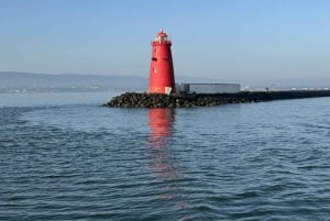 Дублинский залив: круиз из центра города в Дун-Лэаре