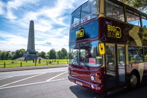 Dublin: Stor buss Hop-On, Hop-Off-tur med live guide