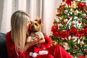 Dublin: Kerstfoto Experience (privé)